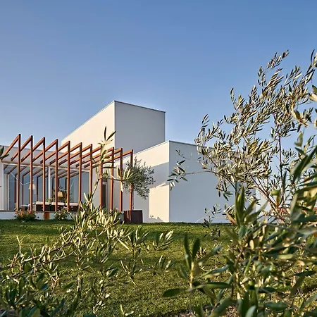 Konukevi Oliveira House Castelo Novo