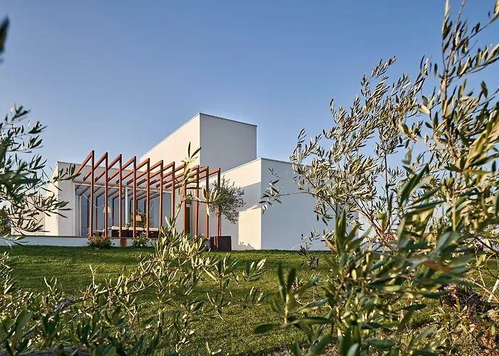 Πανσιόν Oliveira House Castelo Novo